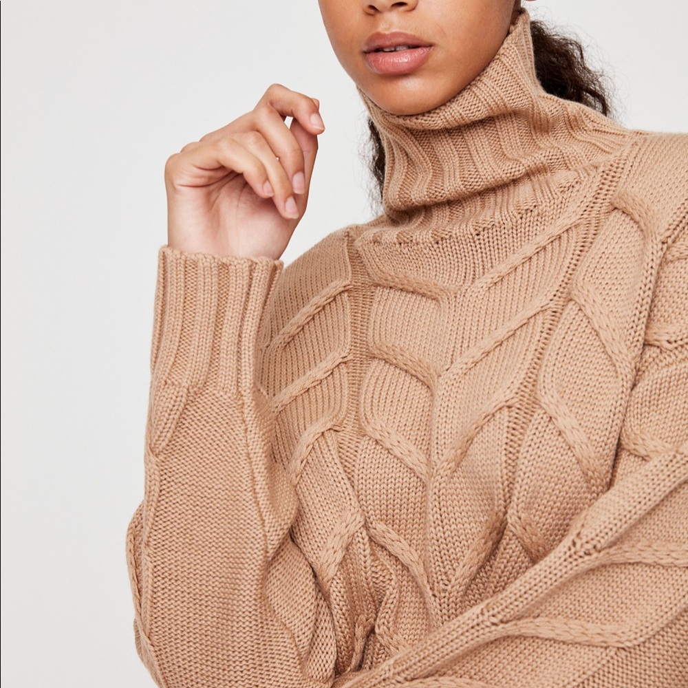 Aritzia 100% Merino Wool Cable Knit Sweater